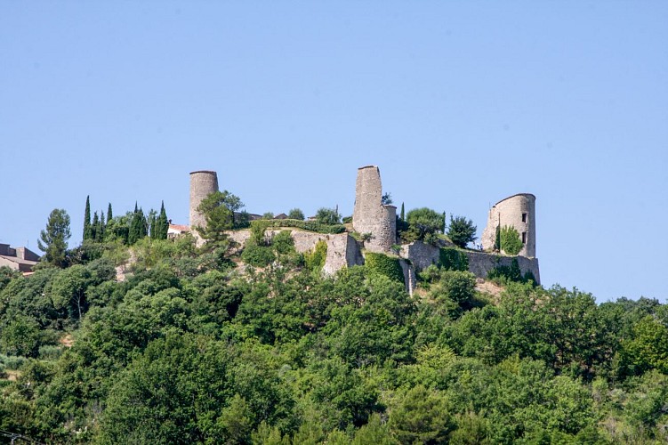 Château de Pontevès