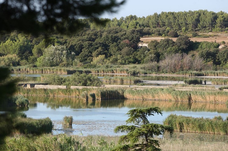 L'étang de Rassuen