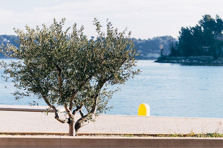 Etang de l'Olivier