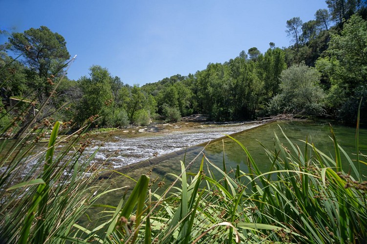 Ecluse sur l'Argens