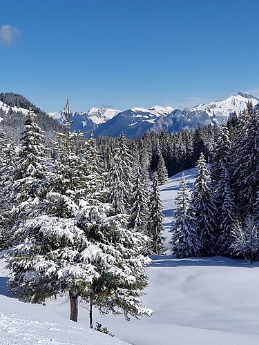 Chalet Neuf alpine restaurant