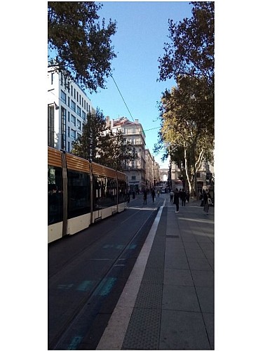 Le cours Belsunce et le cours Saint-Louis