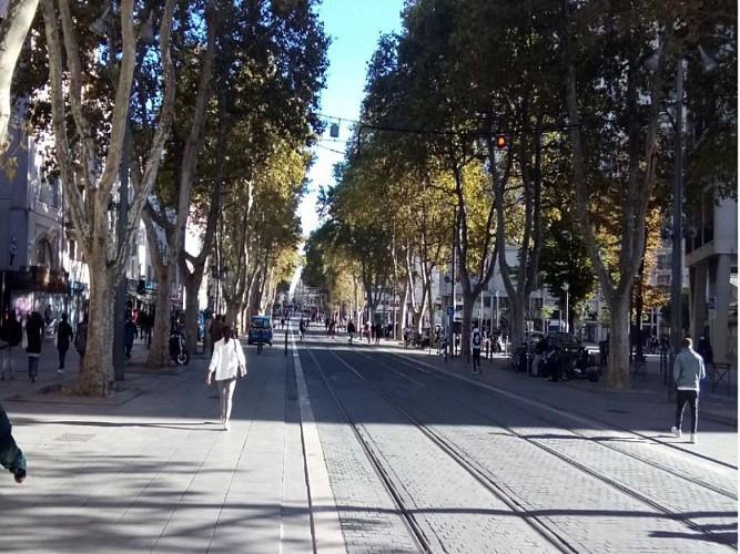 Le cours Belsunce et le cours Saint-Louis