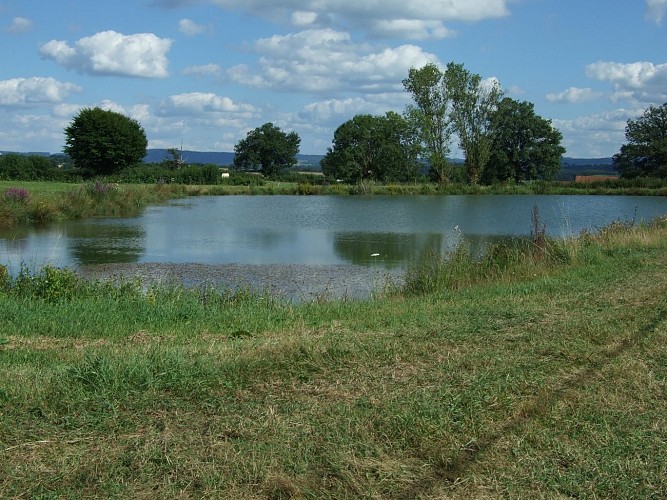 Mare communale du Cros