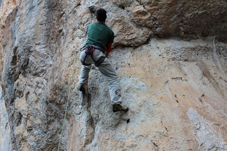 Escale verticale - Canyoning / Via ferrata / Escalade