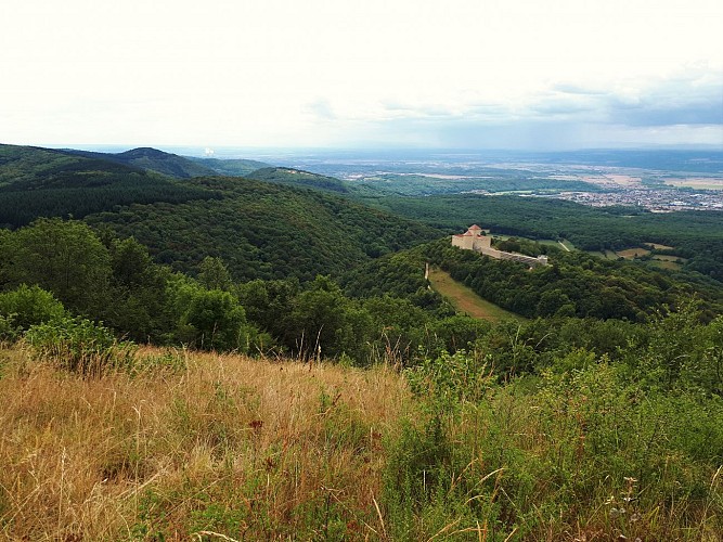 Panorama du Mont Luisandre