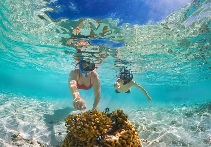 Plongée avec masque et tuba à Playa Larga, à Cuba – Transferts inclus