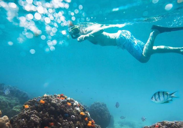 Plongée avec masque et tuba à Playa Larga, à Cuba – Transferts inclus