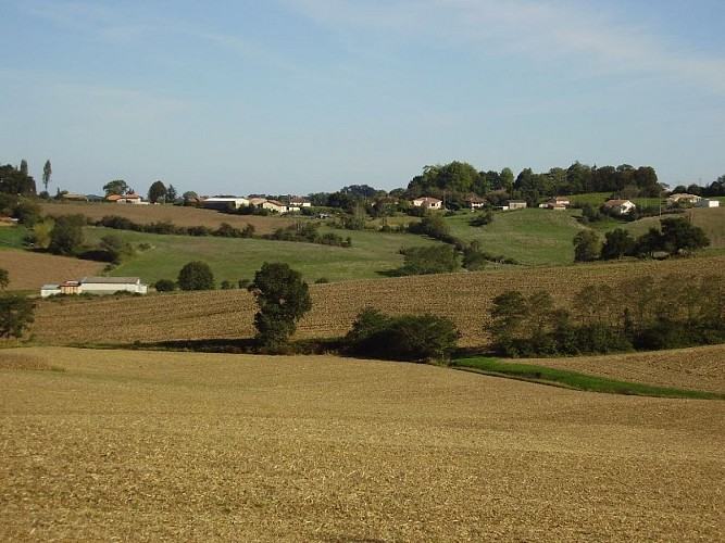 Ferme Loupret - exploitation agricole