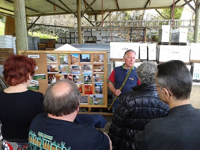 Le Rucher - présentation de l'apiculture