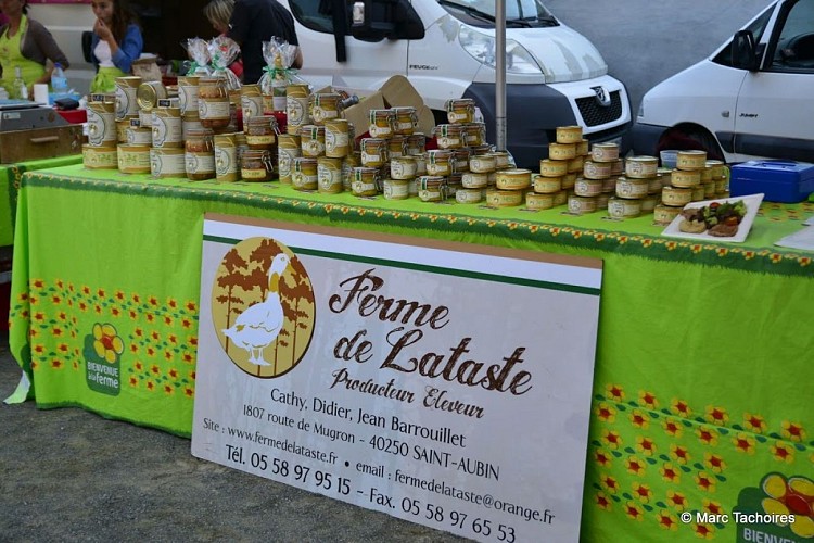 MARCHE PRODUCTEUR PAYS HAURIET 14_113
