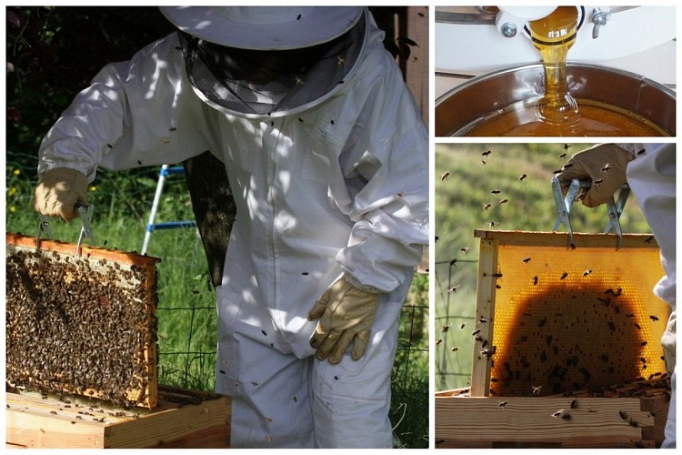 Les butineuses du Castagnos - 7