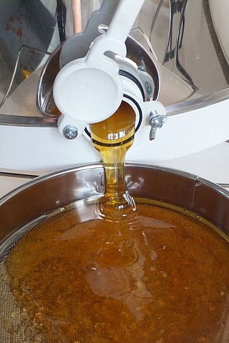 Les butineuses du Castagnos - 5