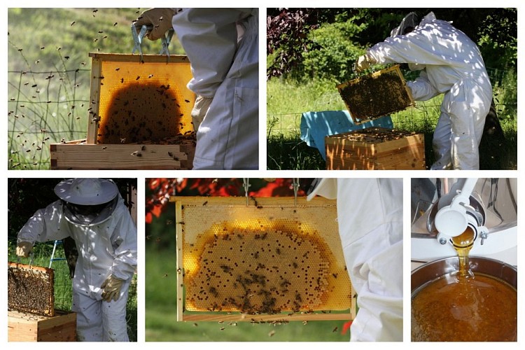 Les butineuses du Castagnos - 6