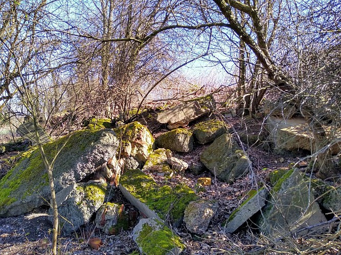 Les cratères des mines Seaforth et Shoreditch à Hill 70: les vestiges de l'ancienne ligne de Front de 1916