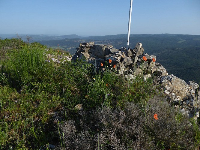 Panoramique à 360°