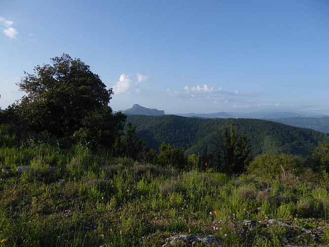 Panoramique à 360°