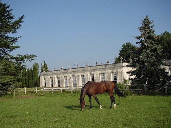 Balades à cheval accompagnées - Fontainebleau Tourisme - Fontainebleau  Tourisme