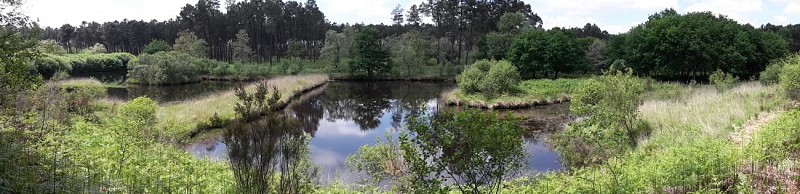 Le marais du Plata