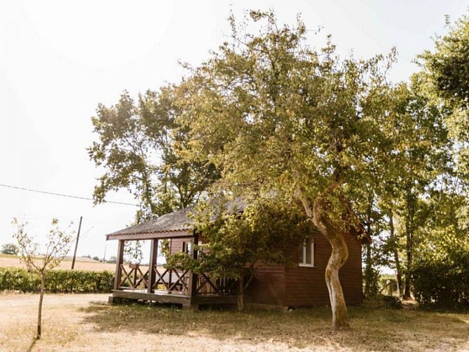 SIRTAQUI 800X600 - 5