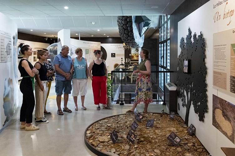 Ecomusée de la truffe4