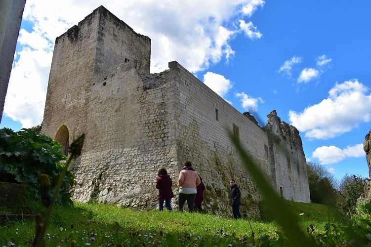 Visite de Guiche - château de Gramont
