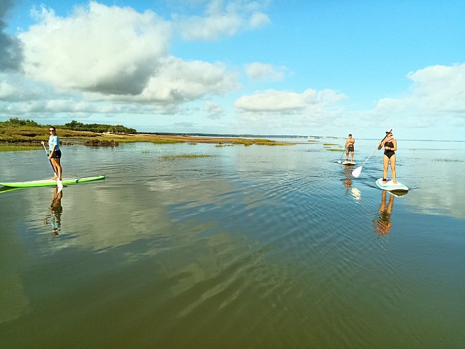 STAND UP PADDLE (1)