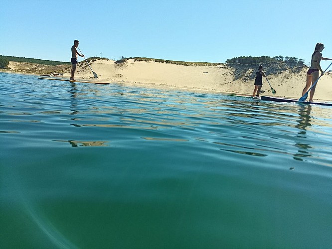 STAND UP PADDLE (4)