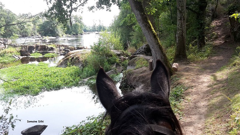 Domaine de Dilki - Le Vigeant ©Domaine de Dilki (1).jpg_2