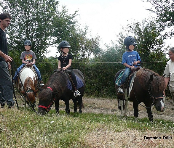 Domaine de Dilki - Le Vigeant ©Domaine de Dilki (3).jpg_6