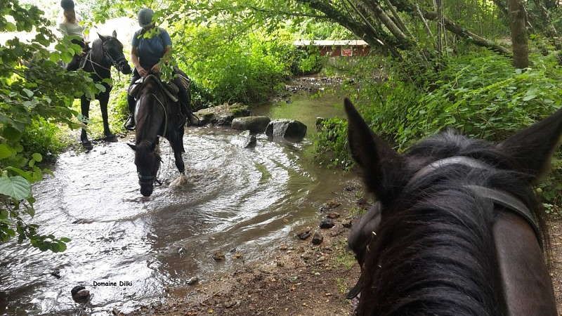Domaine de Dilki - Le Vigeant ©Domaine de Dilki (11).jpg_7