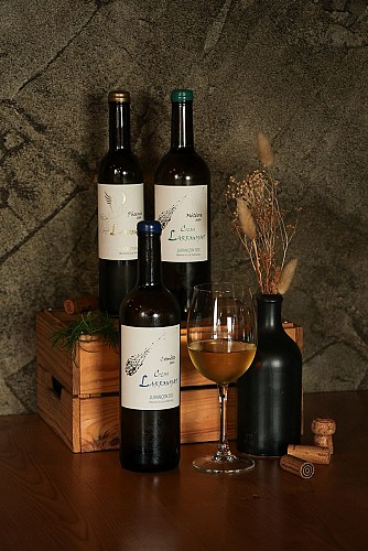 Goustut Capbreton (11)