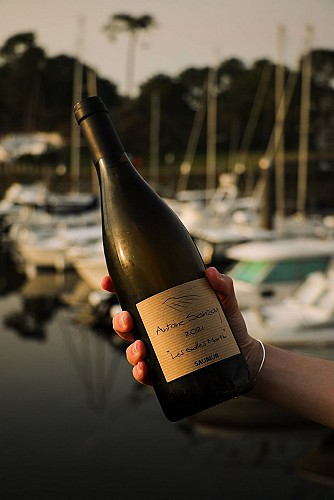 Goustut Capbreton (12)