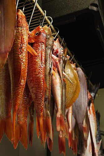 Goustut Capbreton (10)