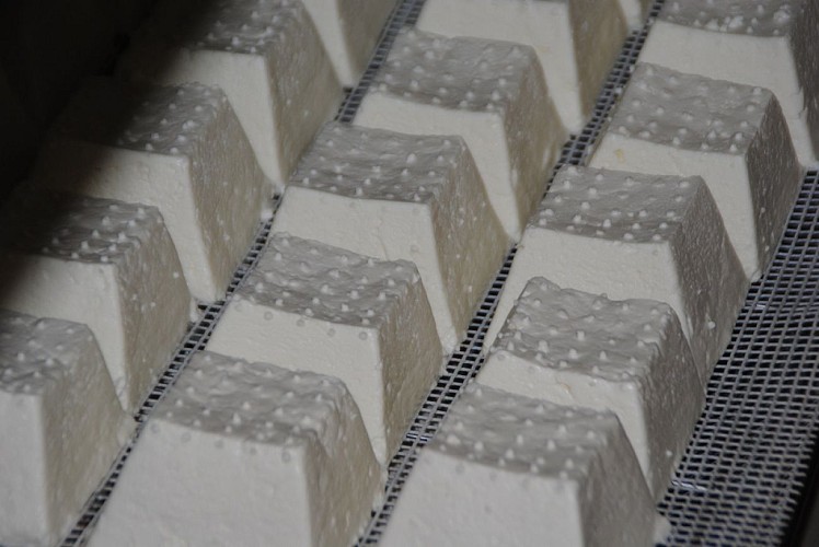 Les chèvres du Prince-4