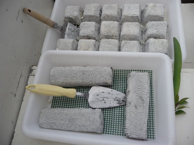 les chevres du prince - briques cendrées et pyramides cendrées