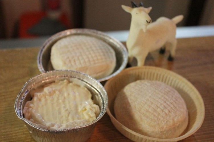 les chevres du prince - Fromage de chêvre frais