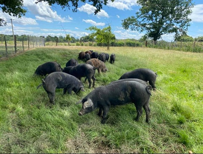 258760759_107068195135247_7200383430973960555_n