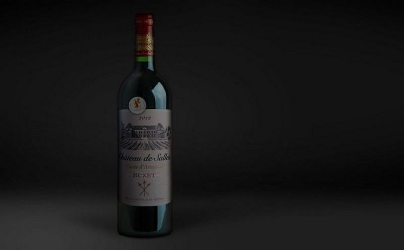 Chateau-de-Salles---Vin