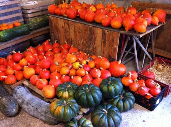 Les-jardins-d-ossau-photo-legumes