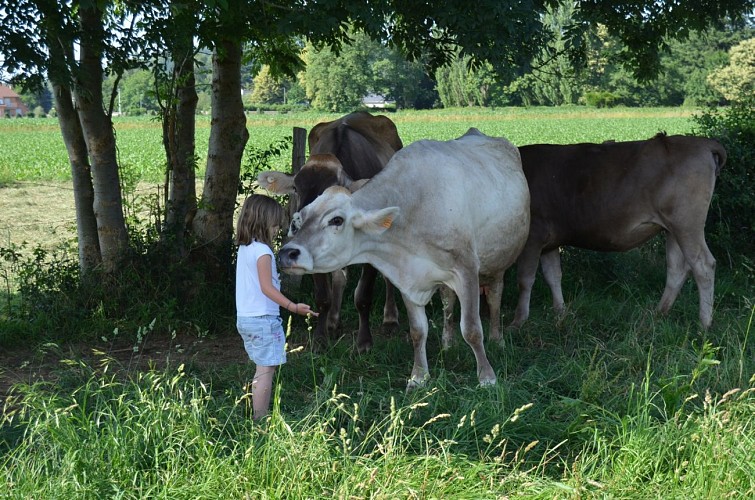 Ferme de la Porte d'Aspe à Gurmençon