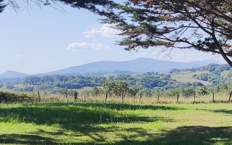 Parc-Abbaye-de-Belloc 1