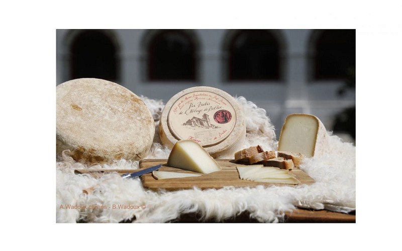 2022-08-2-photo-Pur-Brebis-de-l-Abbaye-de-Belloc-2