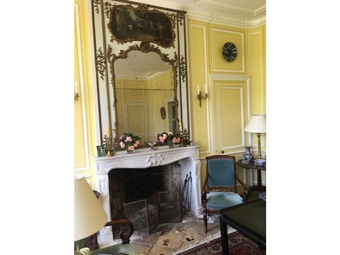 Château du Jonquet - cheminée