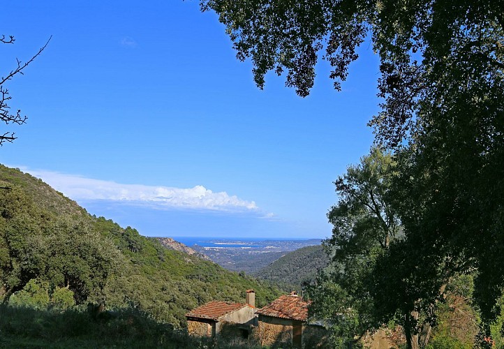 Office de Tourisme Communautaire - Bureau de la Mole