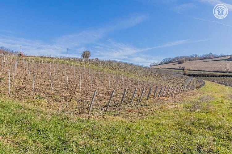 Au Petit Bonheur Chez Bambina