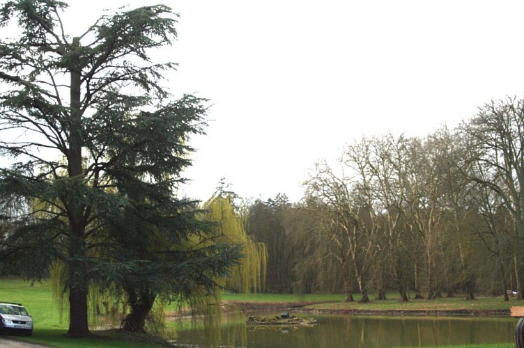 Château de la Motte and its park