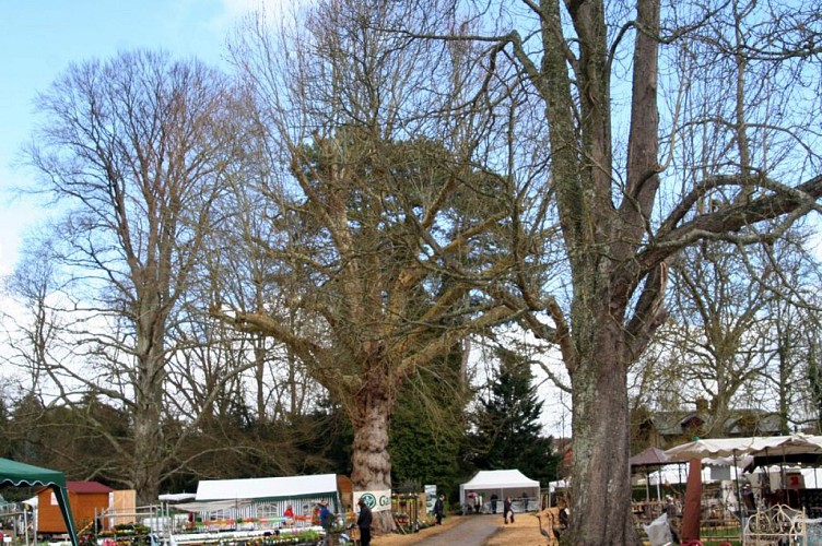 Château de la Motte and its park