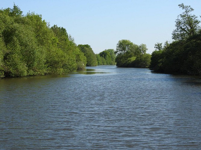 CROISIÈRE SUR L'ERDRE