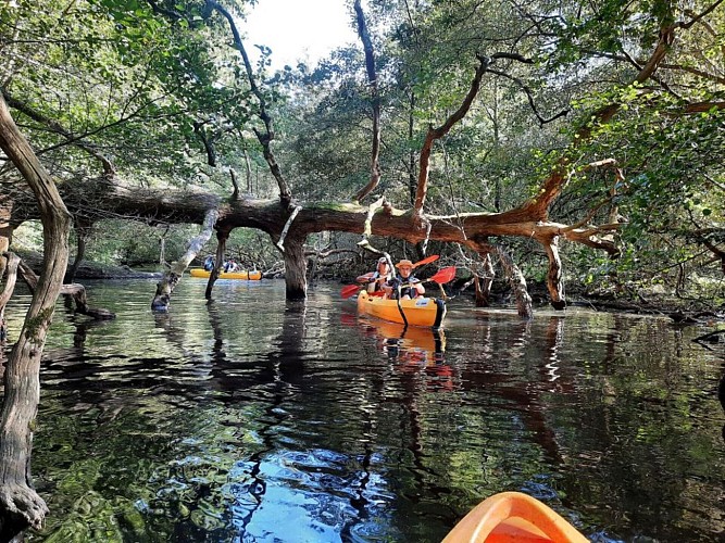 NANTES ATLANTIQUE CANOË KAYAK
